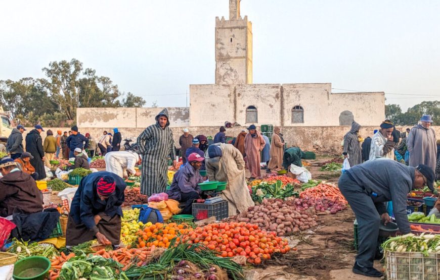 Souk Ida Ougourd chaque Mercredi