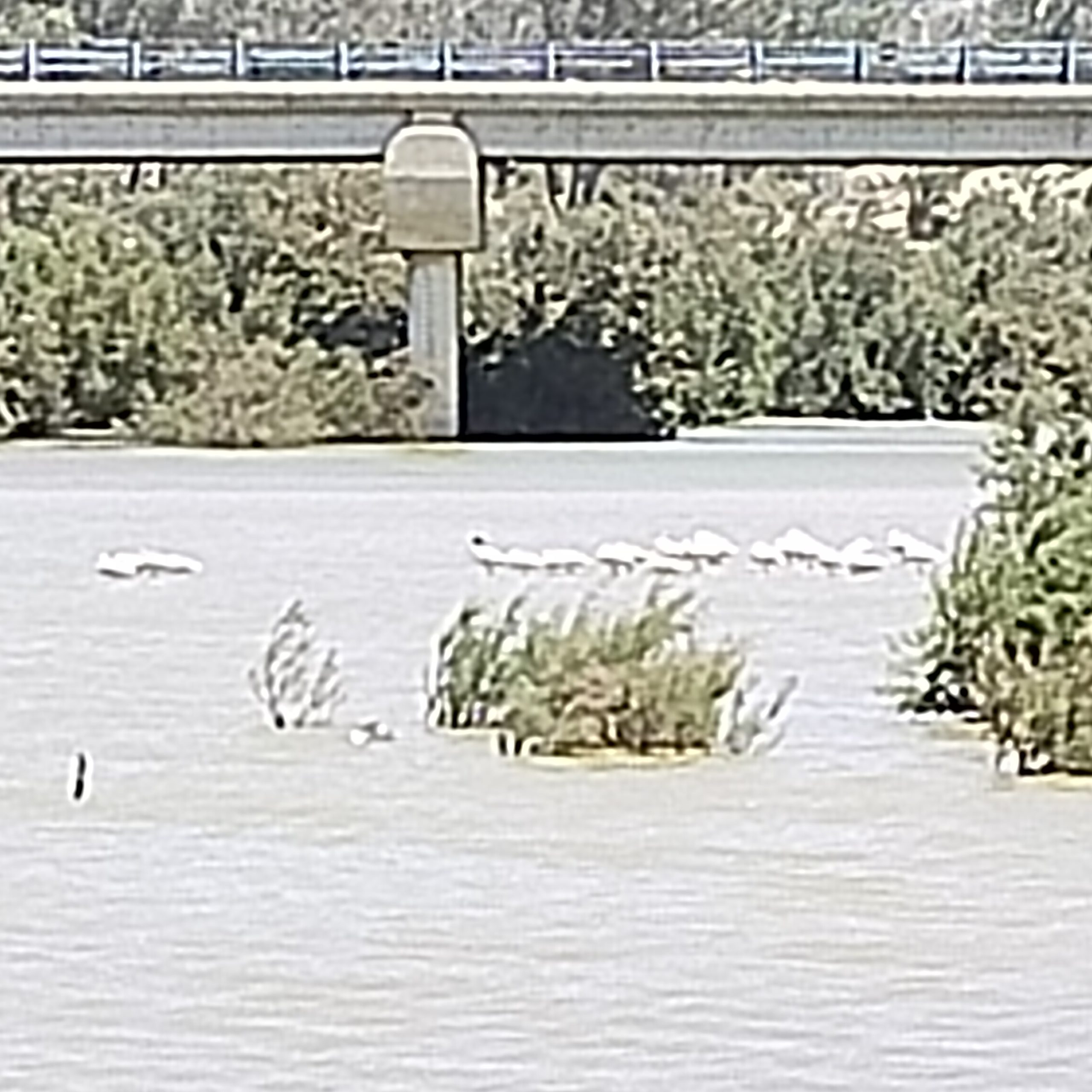 Taxi Marrakech - Marrakech Taxi - Transport navette excursion circuit Marrakech